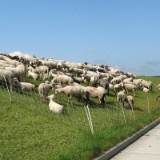 0905F 45 Stendal-Hamburg : elbe